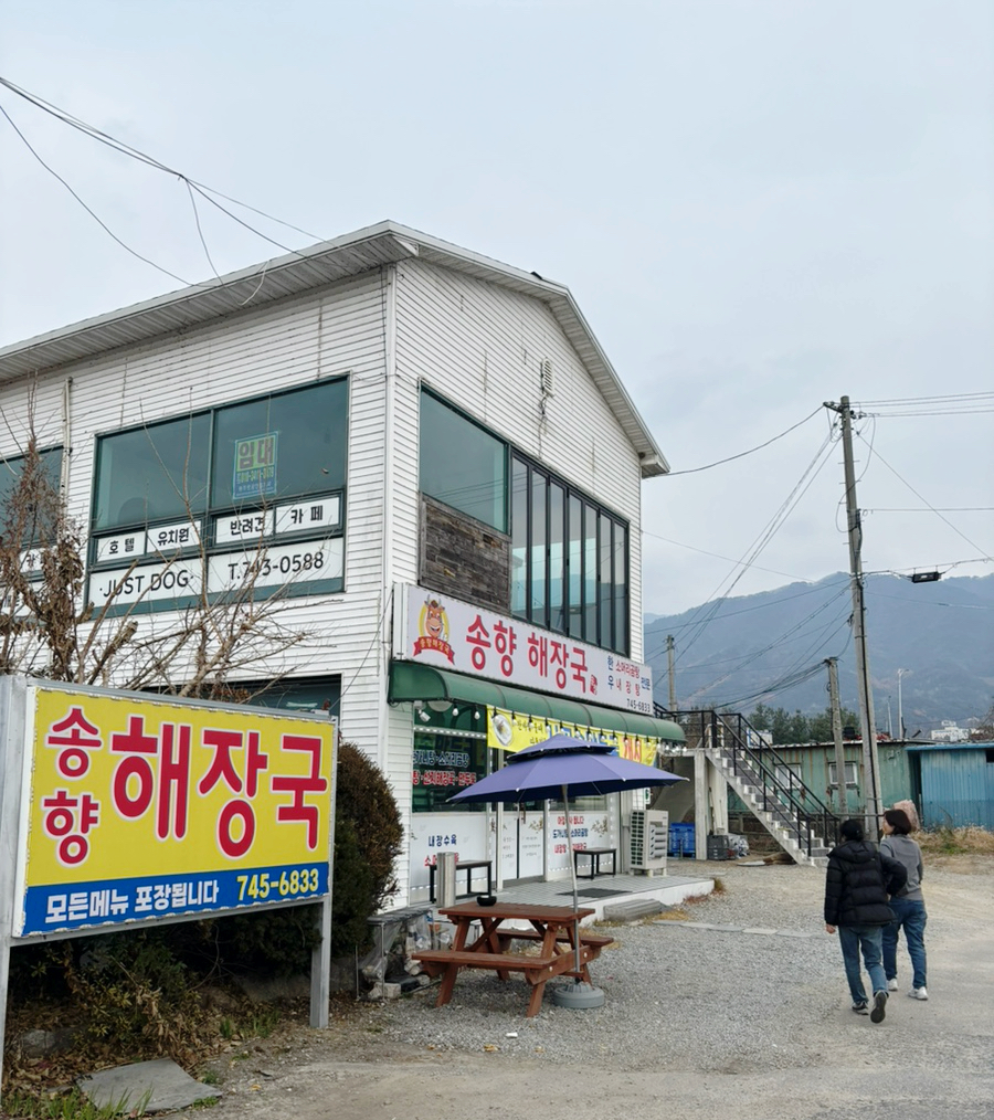 송향 사진 2