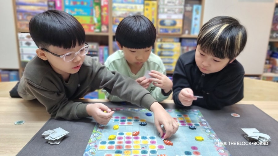 바다숲 사진 4