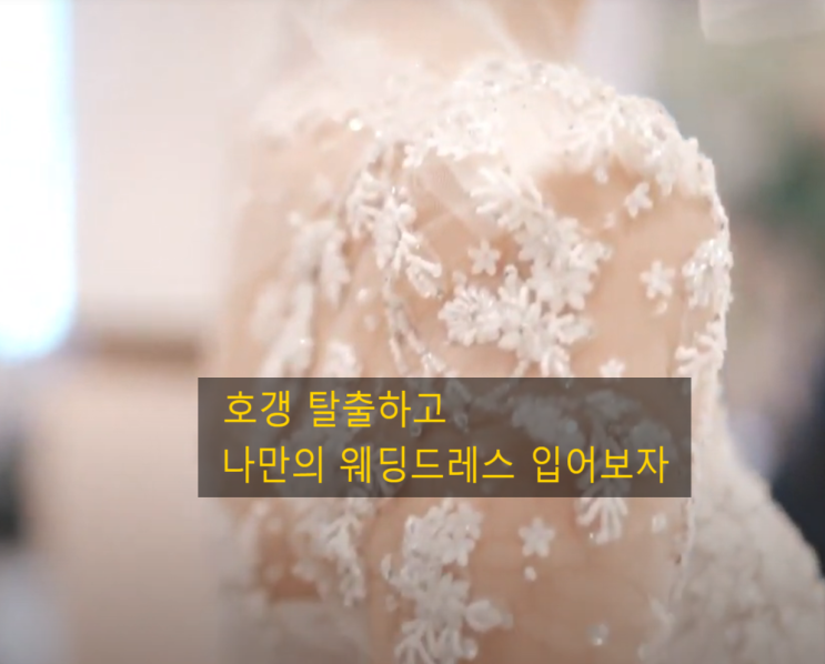  2026 광주웨딩박람회 일정 1월, 호갱 피하는 정찰제 견적 시크릿 신상 드레스 피팅 후기