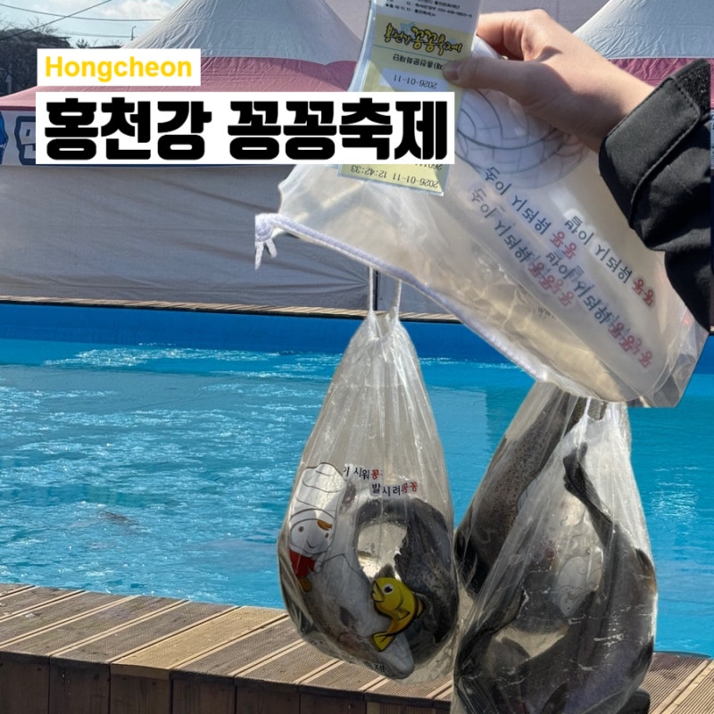 강원도 겨울축제 2026 홍천강 꽁꽁축제 다녀온 꿀팁 및 후기