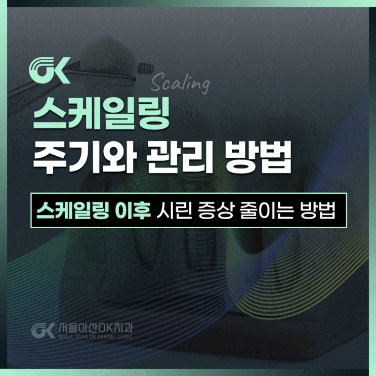 미사스케일링 주기와 시린 증상 관리 방법