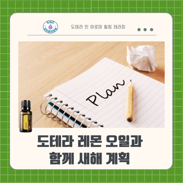  도테라 레몬 오일 향 하나로 시작한 새해, 5년 뒤 나를 만났다