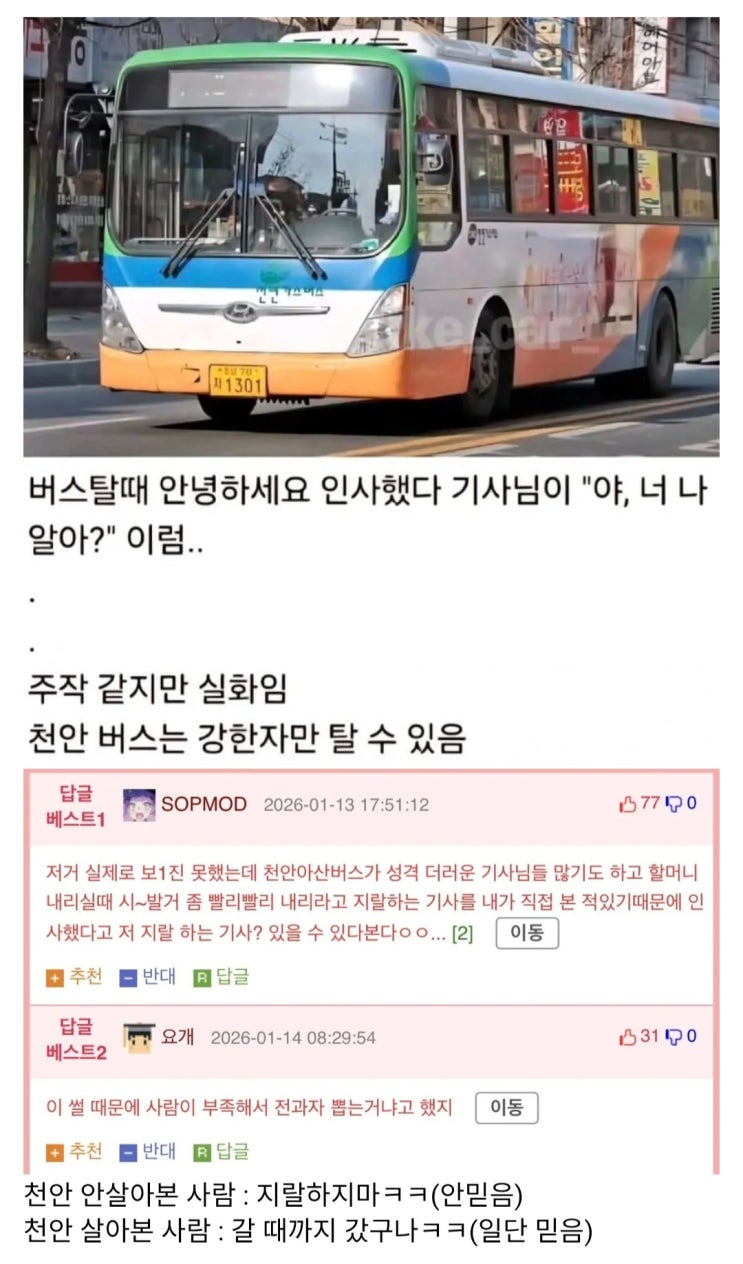  오로지 강한자만이 살아남을수 있는 천안버스.jpg