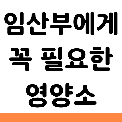  임산부에게 꼭 필요한 영양소 엽산 철분 오메가3 칼슘