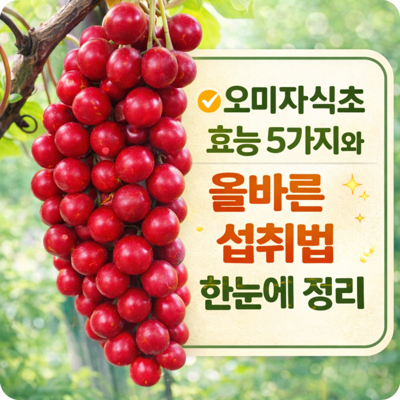 오미자식초 효능 5가지와 올바른 섭취법 한눈에 정리