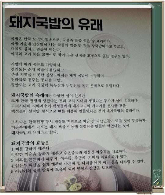 산천초목 사진 6