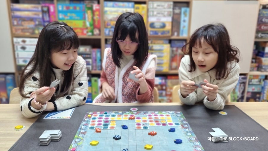 바다숲 사진 3