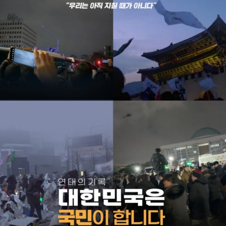 대한민국은 국민이 합니다 12.3 내란 극복 다큐멘터리 영화 정보