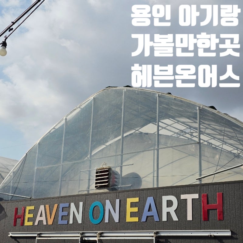 사진 10