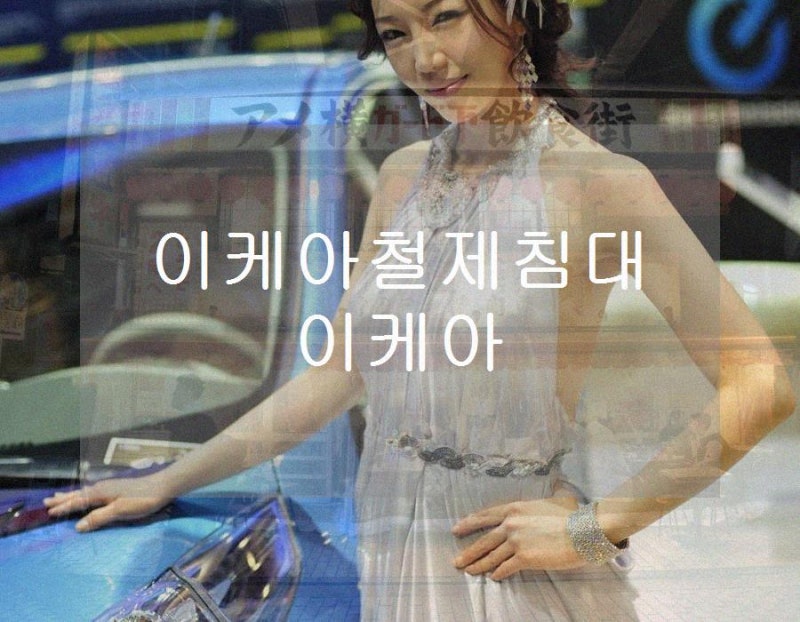 이케아철제침대 이케아 철제 침대 프레임