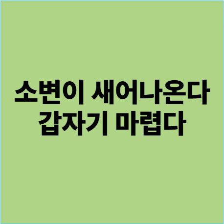  용인요실금한의원 소변이 새거나 갑자기 마려우신 분(급뇨증)