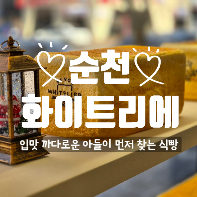  편의점 빵보다 4배 비싼 가격? 순천 화이트리에 식빵, 굳이 사 먹는 이유 (+솔직 맛 평가)