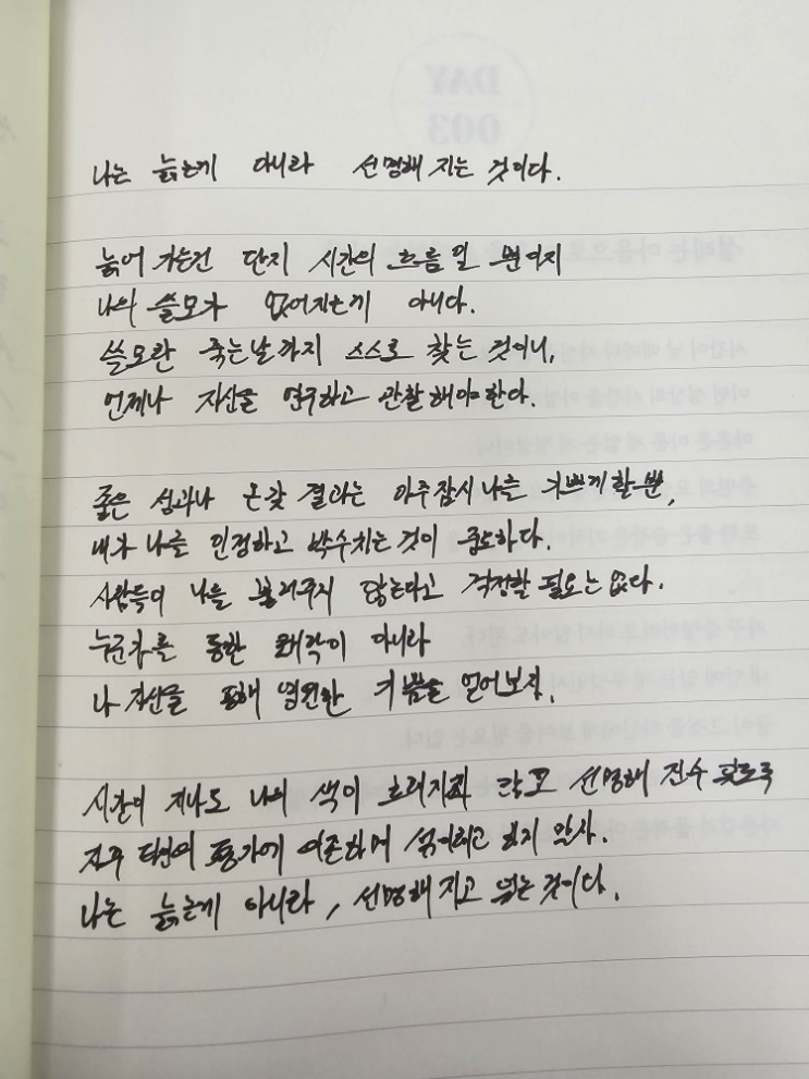  [100일 필사노트] 나는 늙는 게 아니라 선명해지는 것이다.
