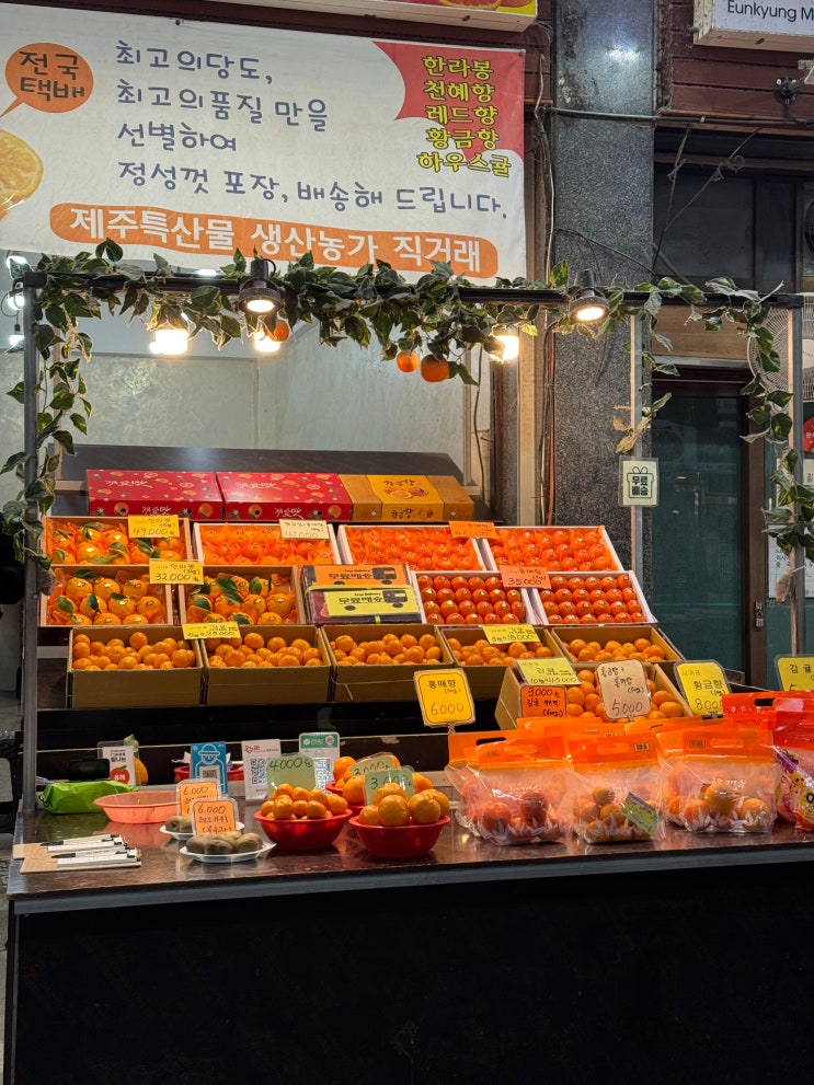  제주도 서귀포올레시장 홍매향 귤 택배 내돈내산, 레드향보다 달콤한 설선물 추천 준이네아침농장