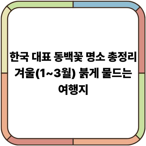 한국 대표 동백꽃 명소 총정리｜겨울(1~3월) 붉게 물드는 여행지