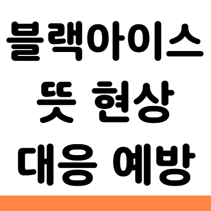  블랙아이스 뜻 현상 대응 예방