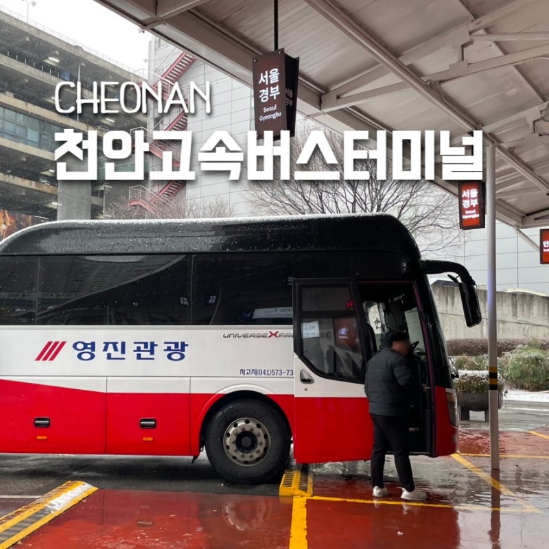 천안고속버스터미널 노선 서울행 영진관광 일반 우등 비교 명당자리 팁