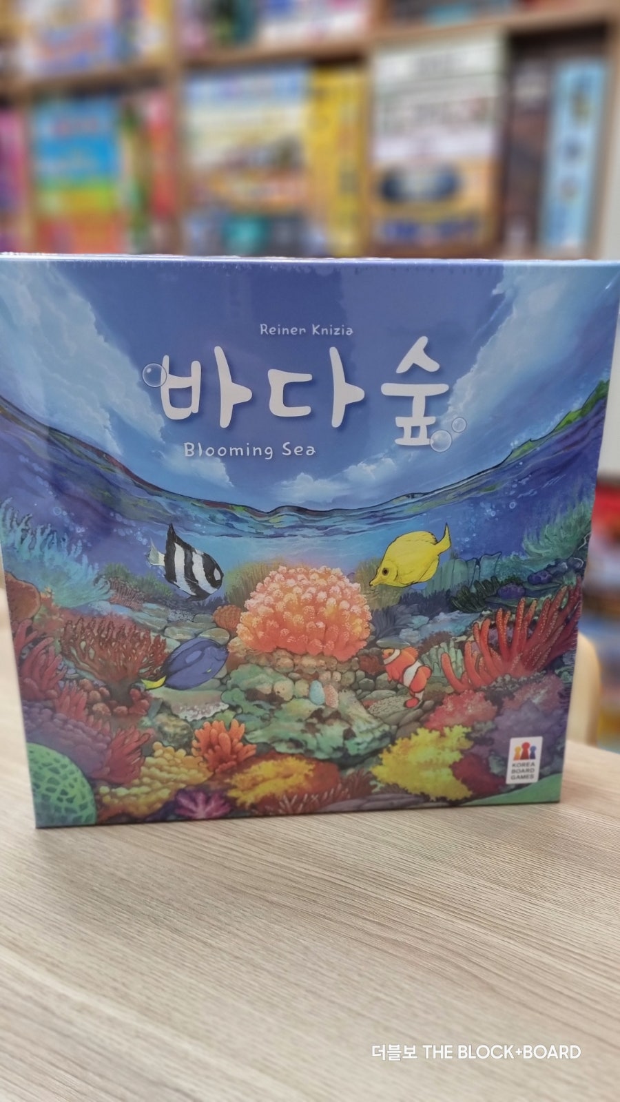 바다숲 사진 2