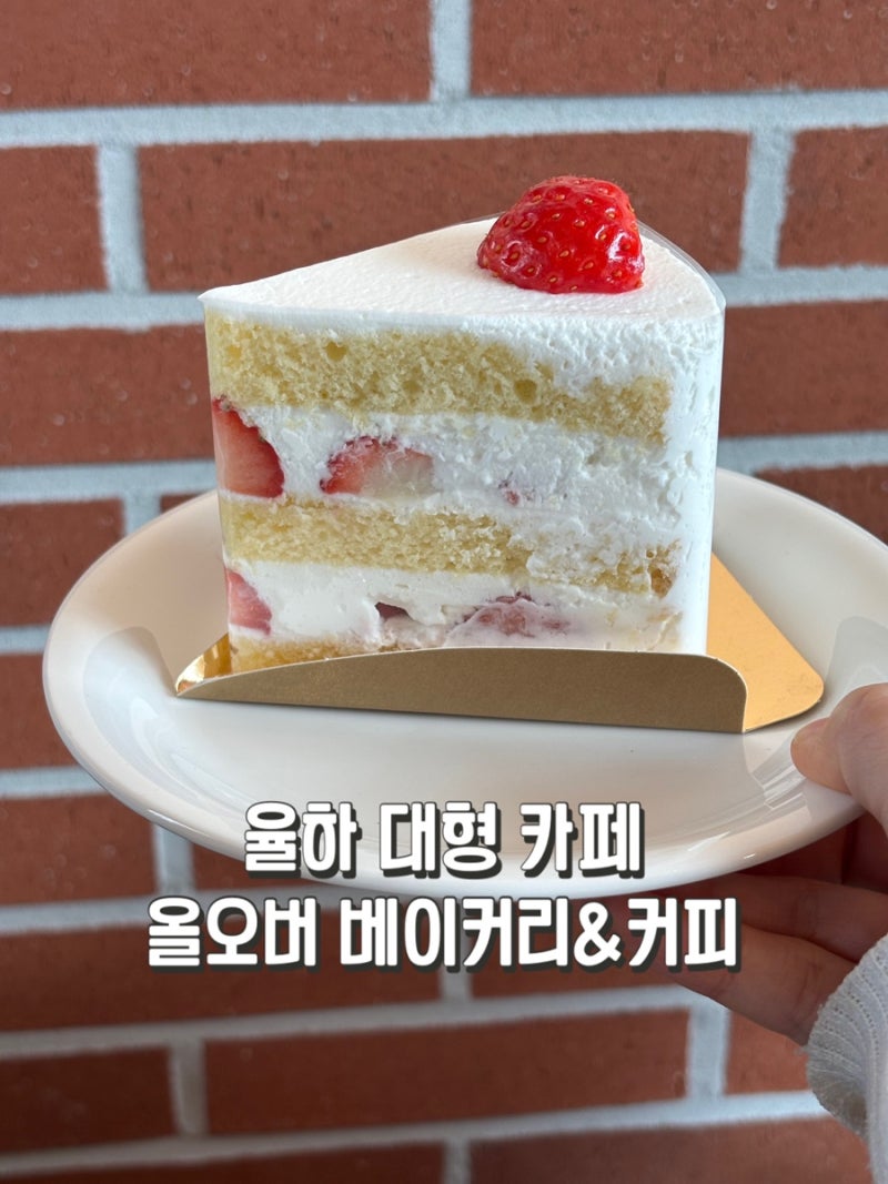 장유 롯데아울렛 대형 카페 올오버 아이랑 세 번 방문한 후기