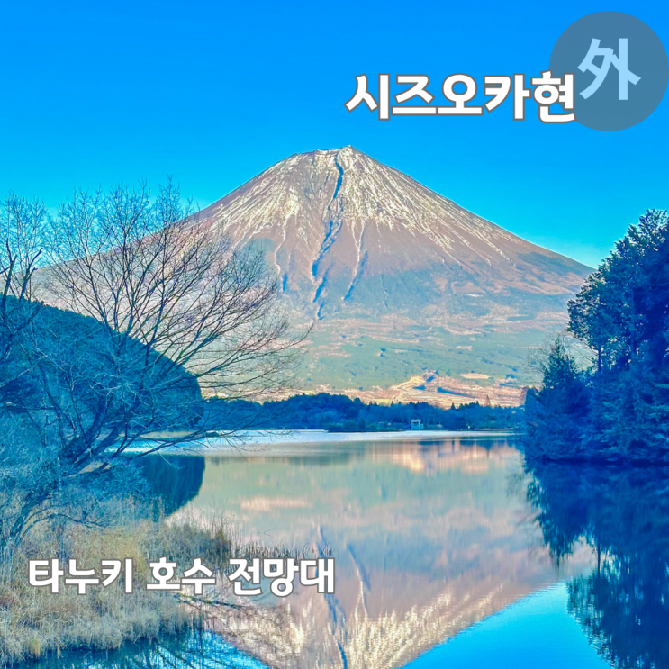  도쿄 후지산 여행 필수 코스로 추천하는 타누키 호수 전망대