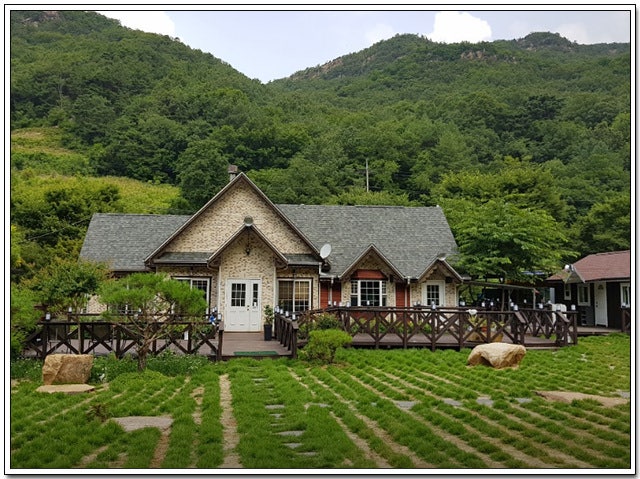 Peopeulteraseu photo 3