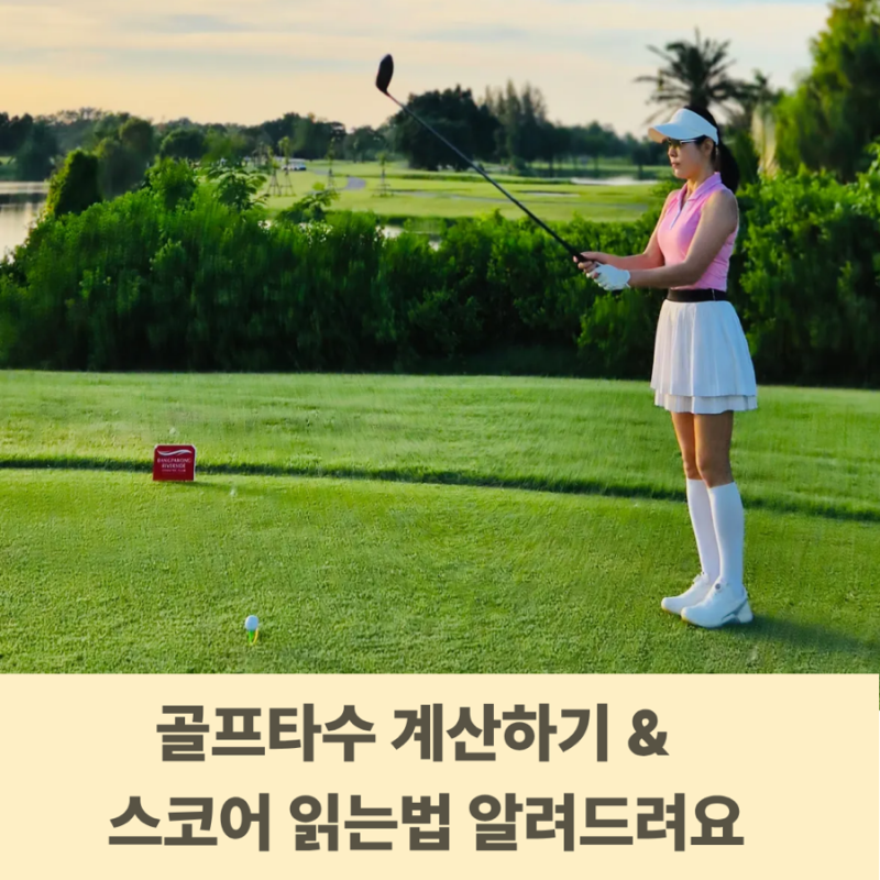 골프 스코어카드 읽는 법 타수 계산과 오버파 계산까지