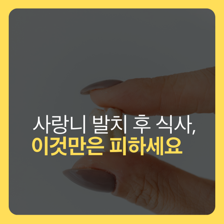  사랑니 발치 후 식사, 통증 줄이고 회복 빠른 음식 선택법