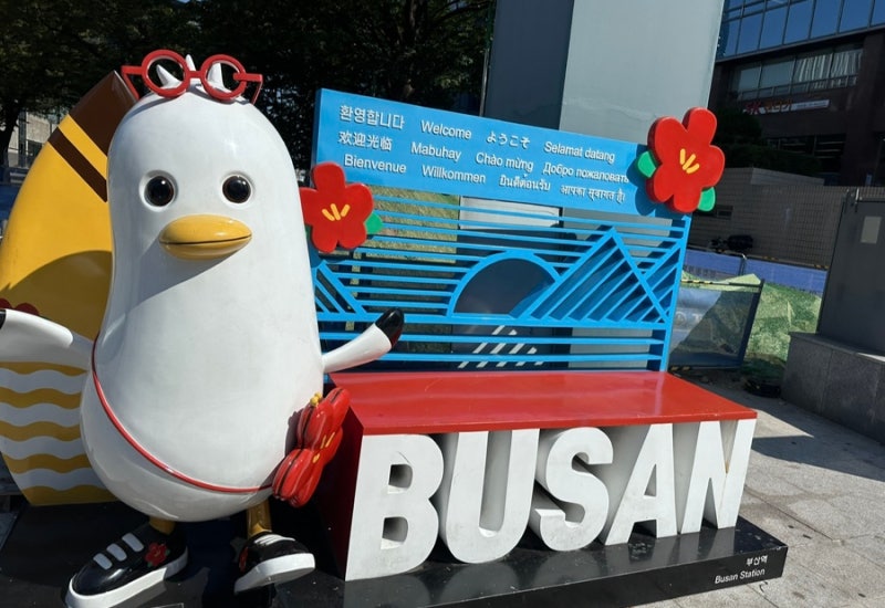 부산역 렌트카 쏘카 당일치기 부산 여행 가볼만한곳