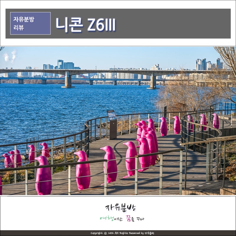 니콘 Z6III 미러리스 카메라 추천, 겨울출사 풀프레임 디카추천