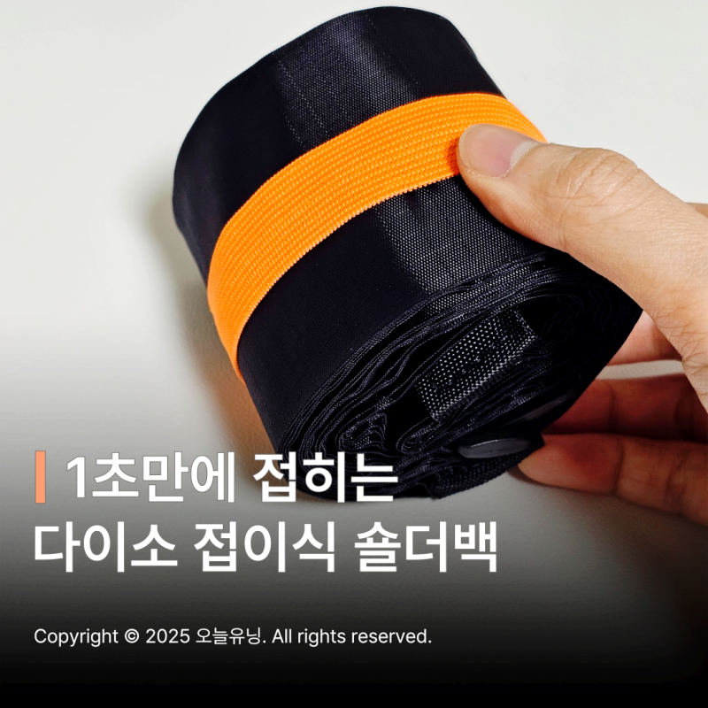 다이소 접이식 숄더백 여행용 서브백 장바구니 겸용 가방 후기