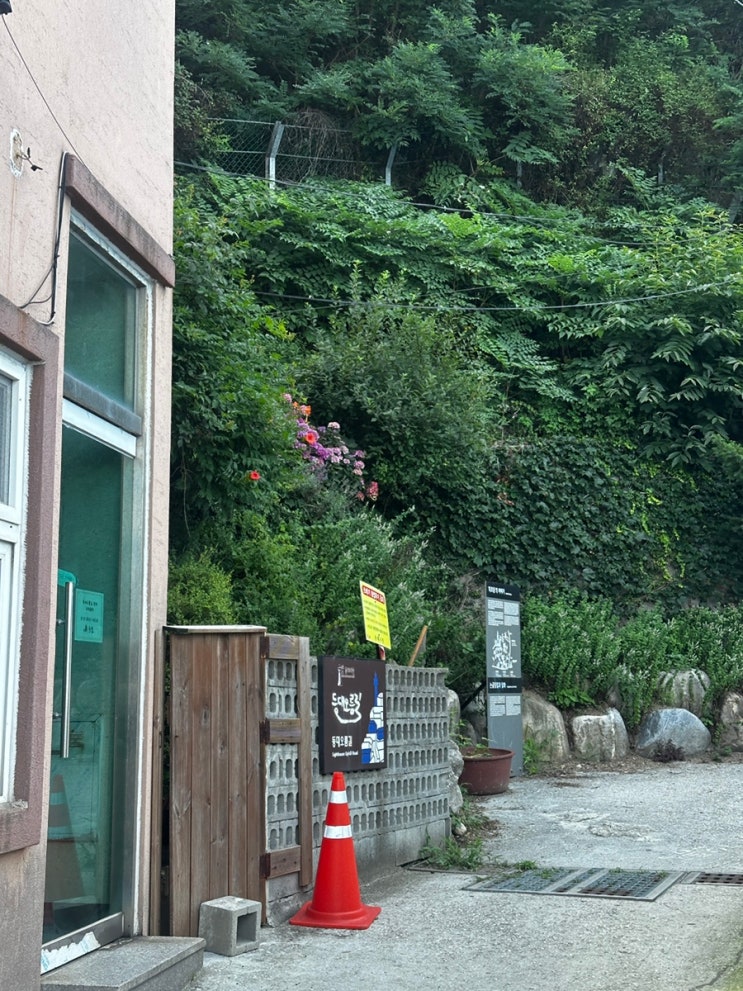  묵호숙소 추천 가성비와 접근성 모두 잡은 '등대오름길 민박' 내돈내산 후기