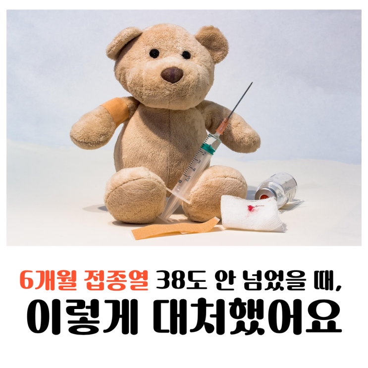  6개월 접종열 38도 안 넘었을 때 이렇게 대처했어요