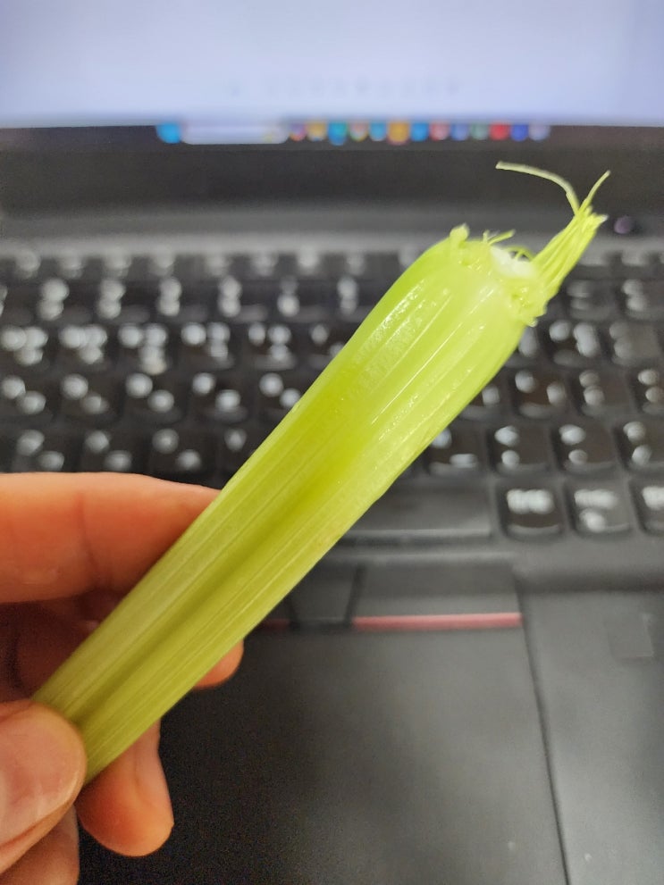  진짜로 다이어트 성공해보기