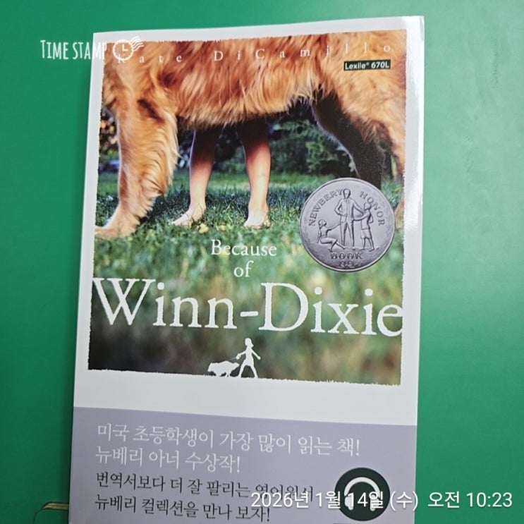  Because of Winn-Dixie 뉴베리 수상작 노블 영어원서 추천 엄마표영어