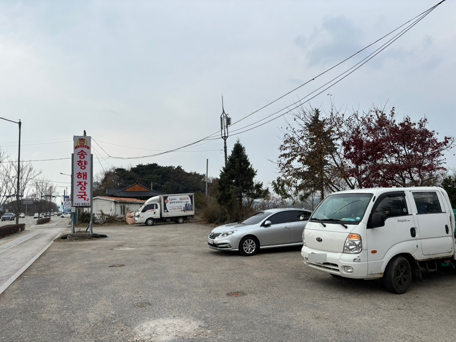 송향 사진 3