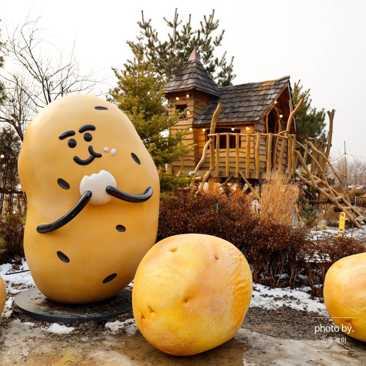  춘천 가볼만한 곳 드라이브코스 실내 볼거리 춘천 감자밭 포장 후기