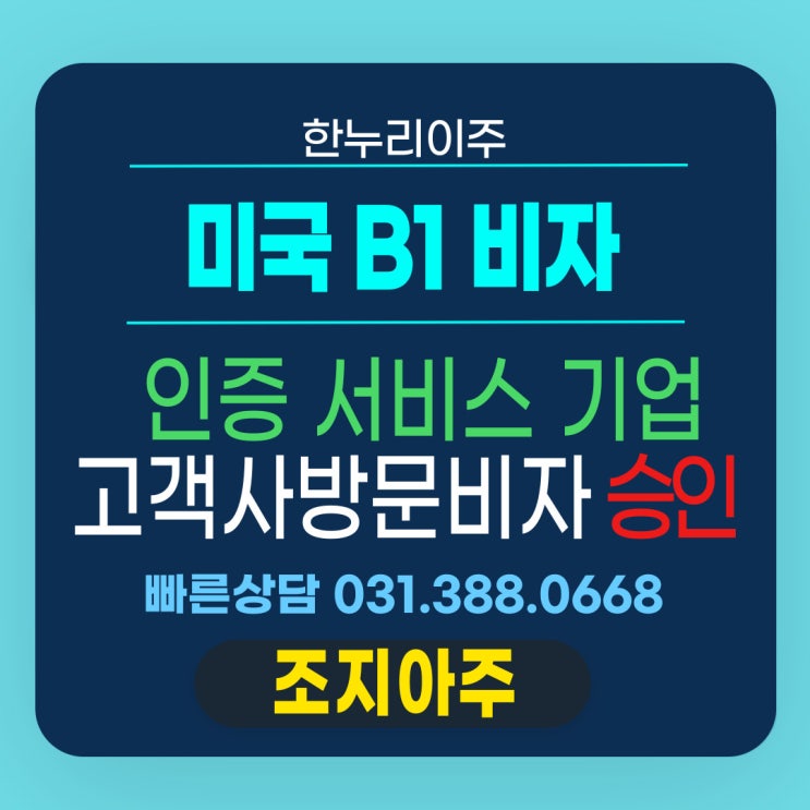  조지아주 고객사 방문 목적 비자,  미국 B1출장 비자 승인 케이스
