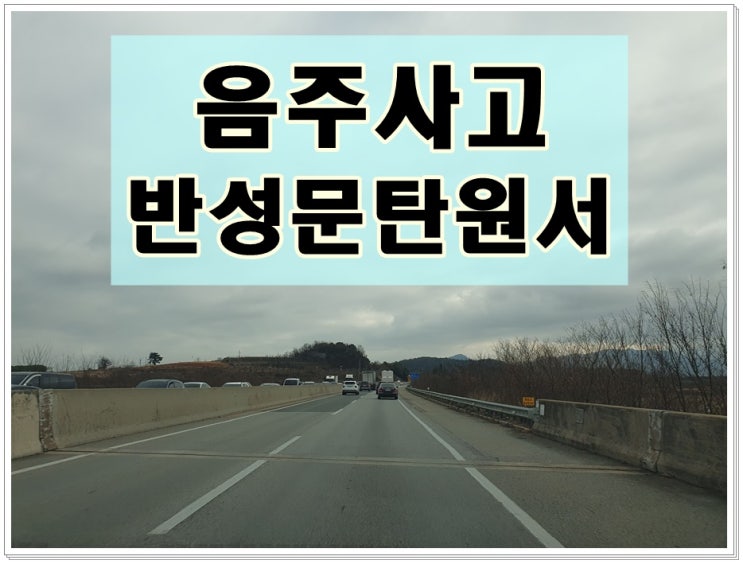  음주사고 반성문 탄원서 쓰는법 작성 시 유의할 점