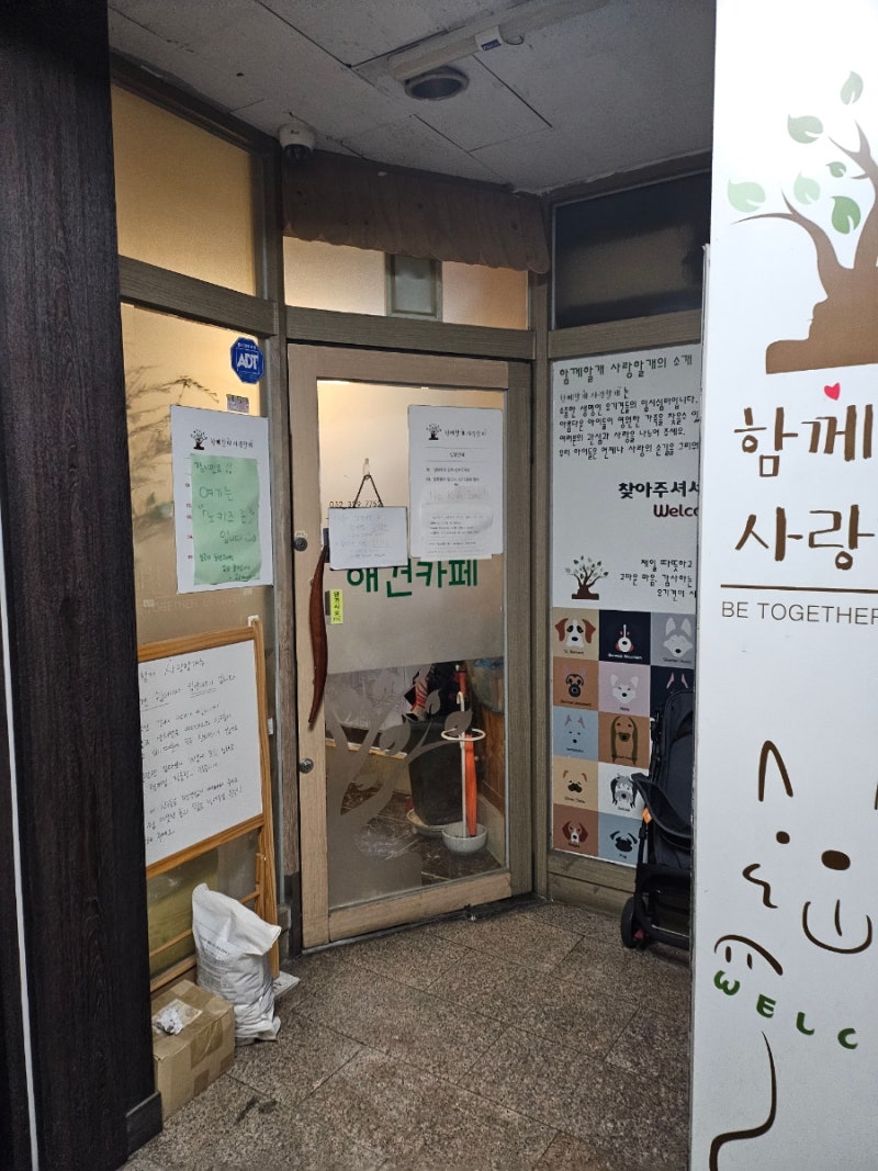 사진 5