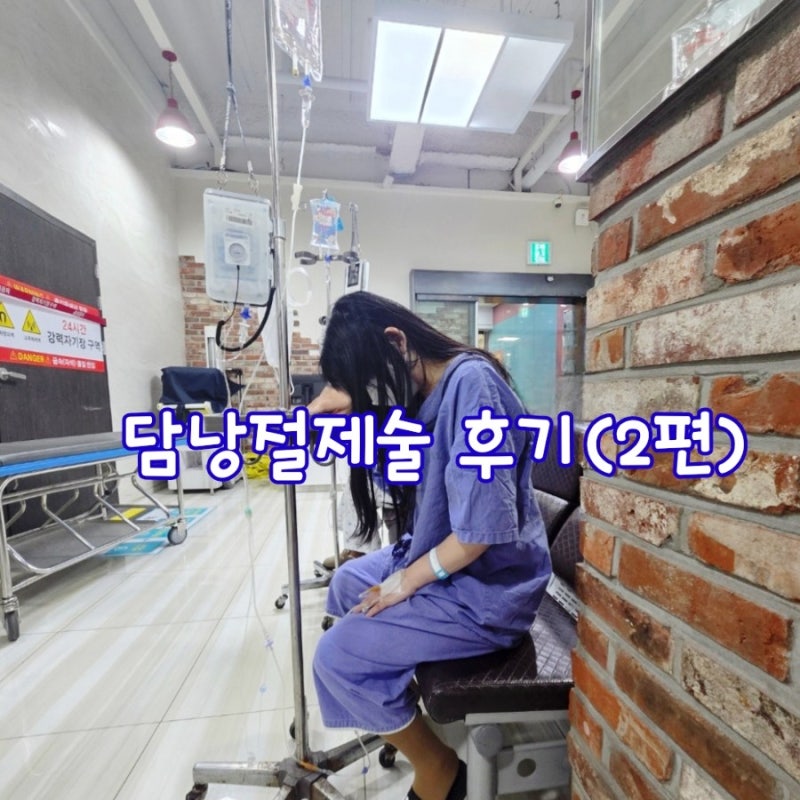 담낭 용종으로 인한 담낭절제 수술후기 2편 수술 후 식단관리
