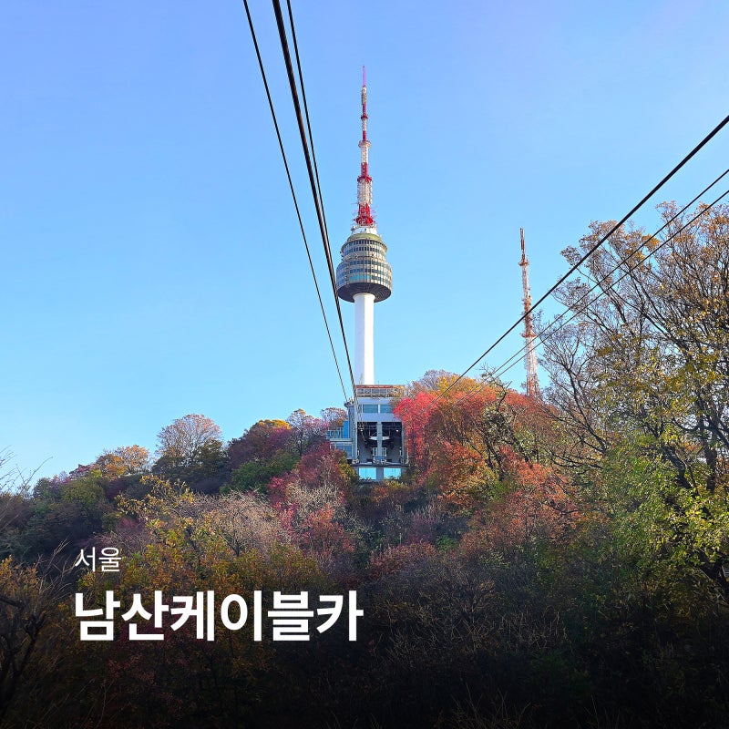 서울 남산케이블카 티켓 가격 남산타워 자물쇠 데이트 코스