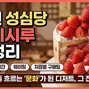 대전 성심당 딸기시루 총정리｜가격·판매기간·웨이팅·지점별 구매팁까지“대전의 문화가 ....