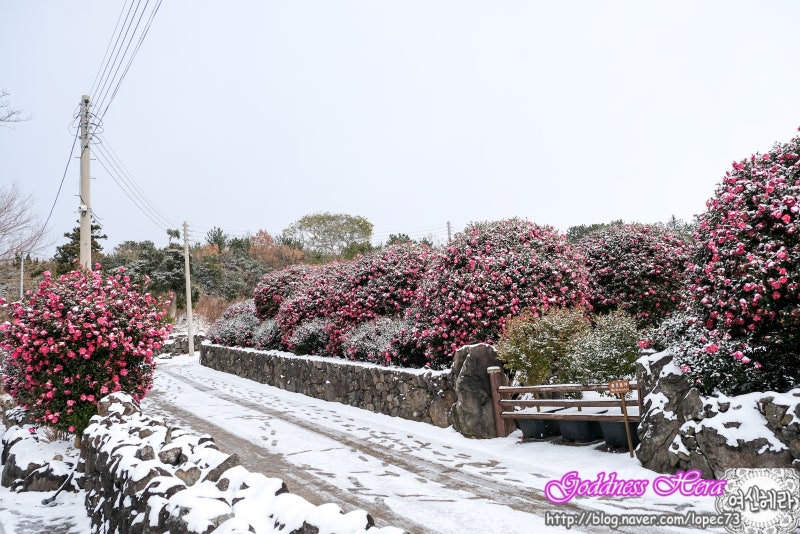 사진 6