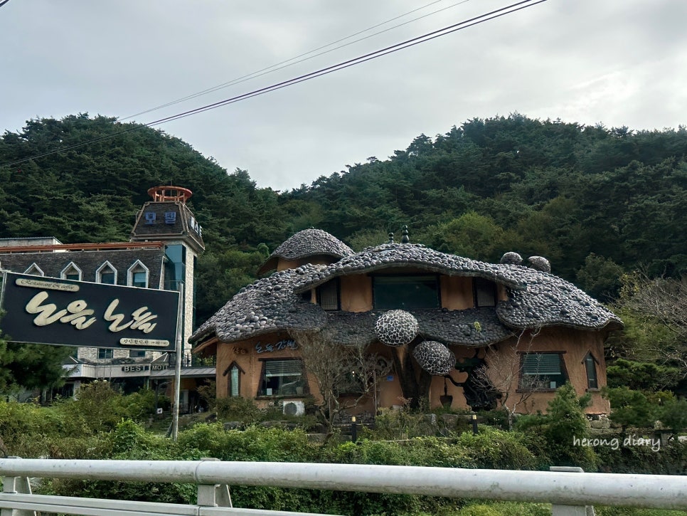 노을노들 사진 2