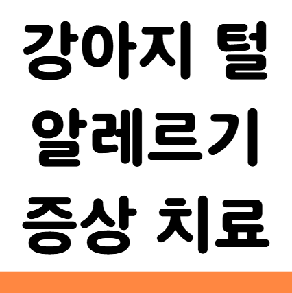 강아지 털 알레르기 증상 치료 예방법