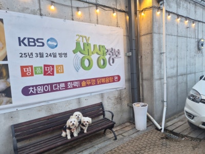 사진 2