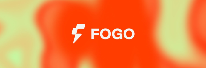  포고 코인이란 무엇일까? FOGO 정보 및 토큰노믹스