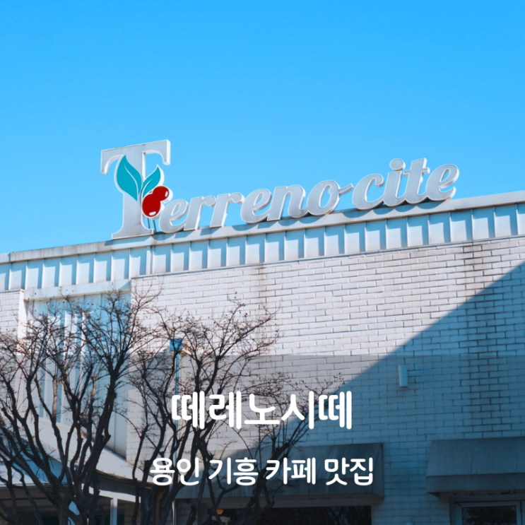  용인 기흥 카페 커피 맛집 떼레노시떼 핸드드립커피 아메리카노