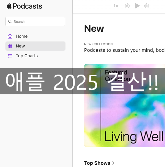  [애플 2025 결산] "팟캐스트 전성시대" 열렸다... 그리고 드디어 한국에 온 '그 기능' (나의 찾기)