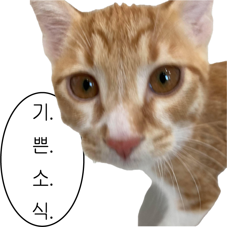  그저 애드포스트 등록 소식을 알리는 글